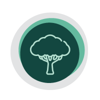 200x200 Icon Trees